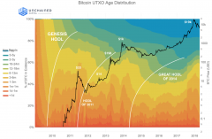 研究人员图表BTC控股期称为“HODL Waves”